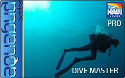 Aquabud Scuba - Dive Master Course
